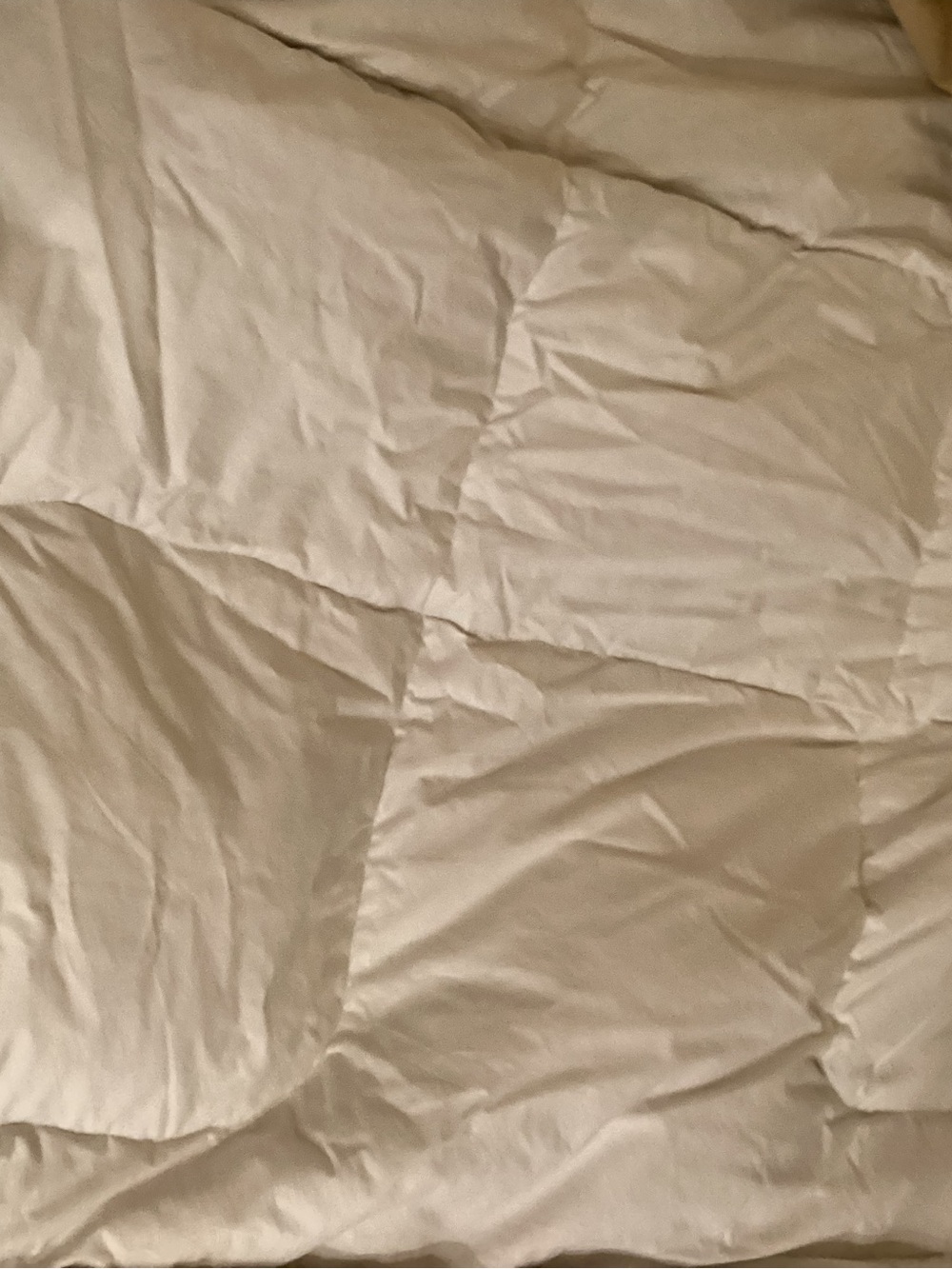 White boxed patter Quilted Down Comforter Cozy Bedding